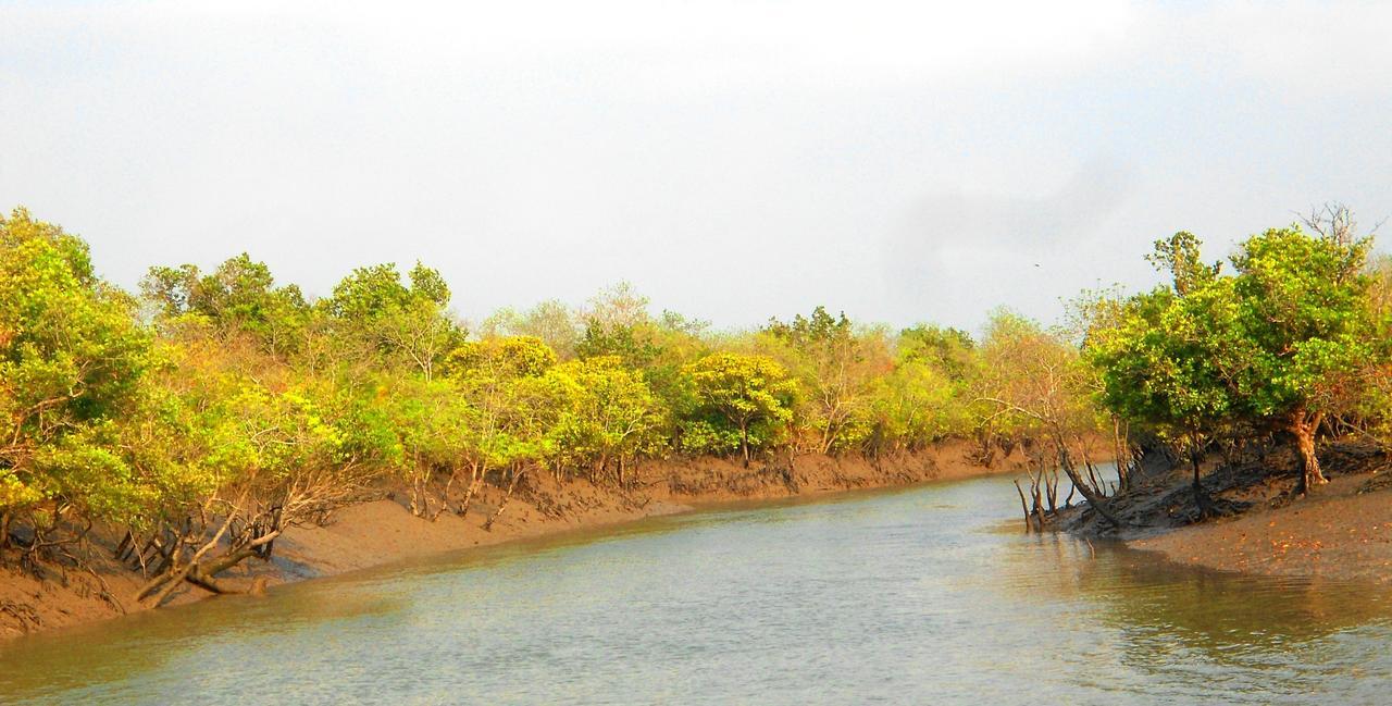 Prakrity Village Resort Sundarbans Gosaha Dış mekan fotoğraf